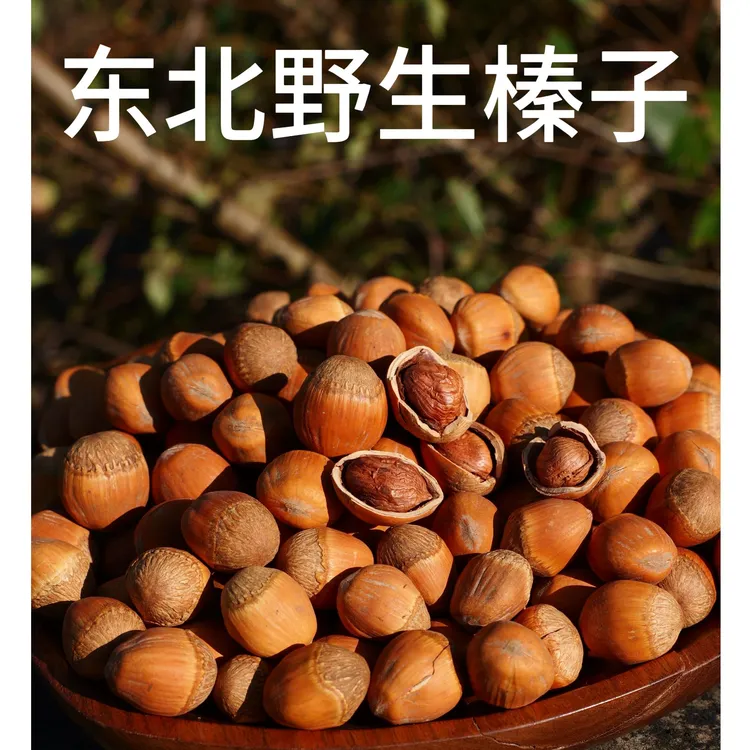 东北原味野生榛子250克/罐