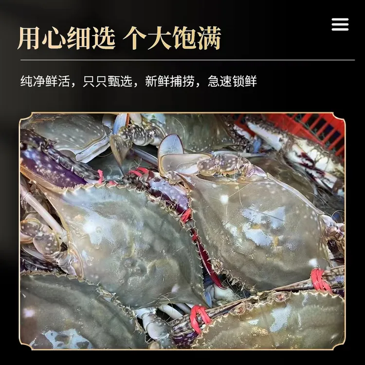 【特惠】【保鲜不保活】威海梭子蟹 3-4两一只 三斤 七成肥 仅售山东