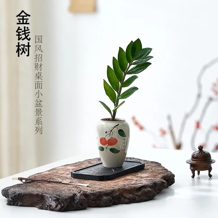金钱树盆栽招财植物室内净化空气绿植花卉办公室桌面好养中式盆景