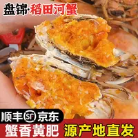 送12只【全母蟹】DS活蟹顺丰京东盘锦稻田河蟹1.0-1.3两/只共发24只