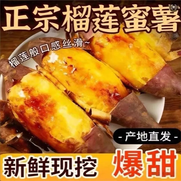 云南文山榴莲蜜薯火山一号丝滑榴莲蜜薯