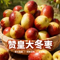 赞皇大冬枣脆枣水润