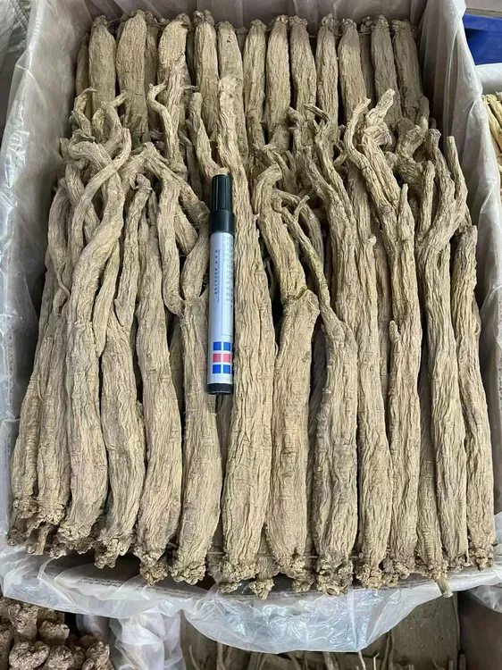 【飞飞精选】特大无硫党参 煲汤炖汤 