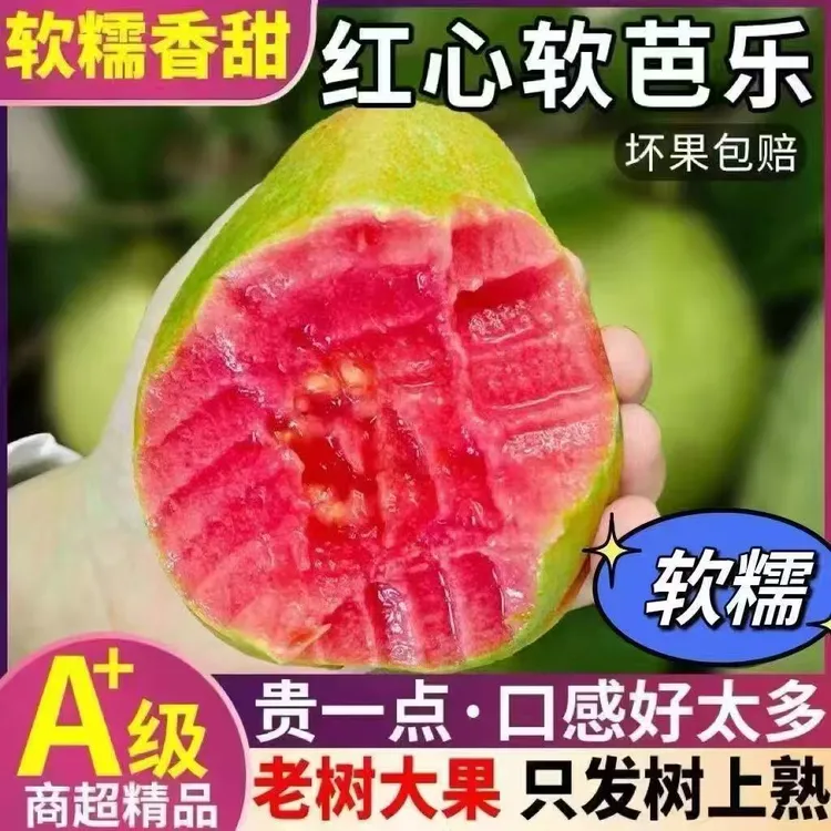 正宗广西番石榴源产地新鲜红心白心双拼奶油芭乐软糯香甜当季水果