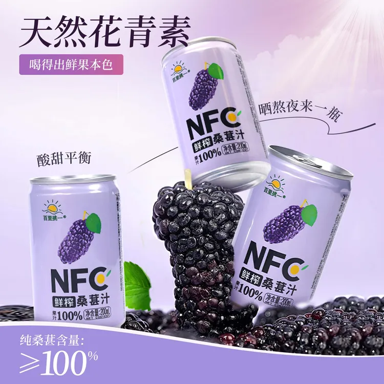 康之味NFC桑葚汁200ML*8罐/箱鲜榨非浓缩100%0添加纯果汁饮品T