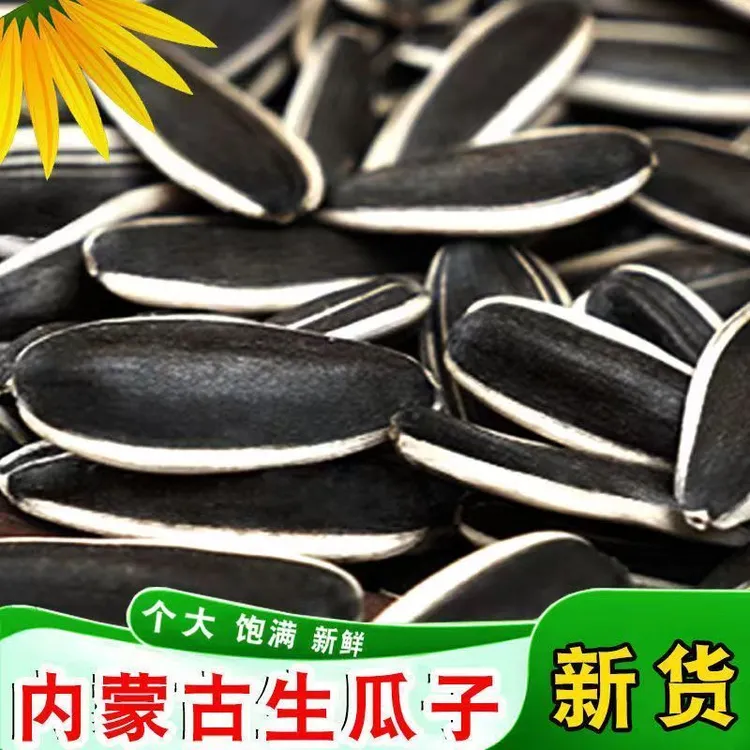 新货363精品大颗粒葵花籽瓜子生货