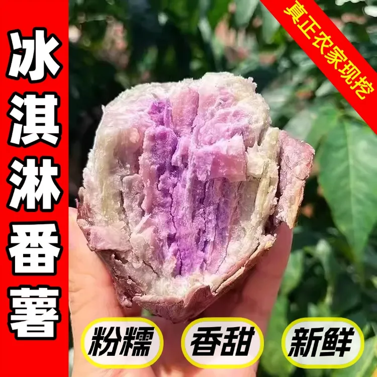 广东茂名高州沙地新鲜现挖冰淇淋红薯一点红番薯健康粗粮