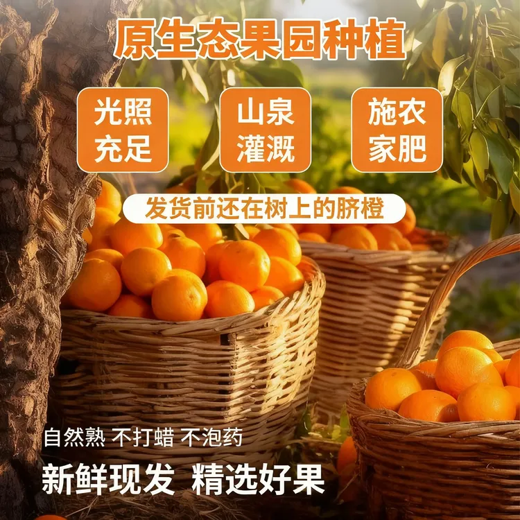 江西赣州正宗赣南脐橙清甜脆爽应季新鲜水果产地直发