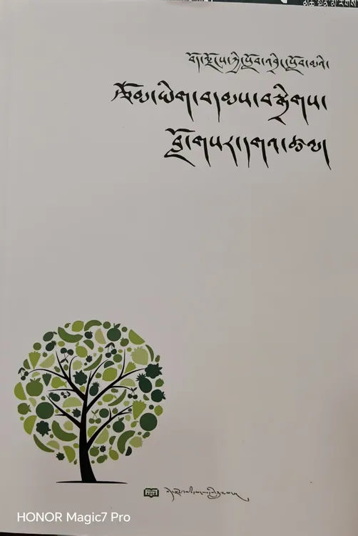 西藏中学生作文选
