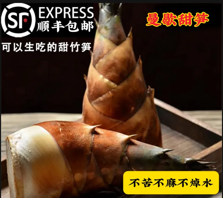 新鲜云南甜龙竹笋带壳可生吃季蔬菜曼歇甜笋新鲜现挖精品2斤以上