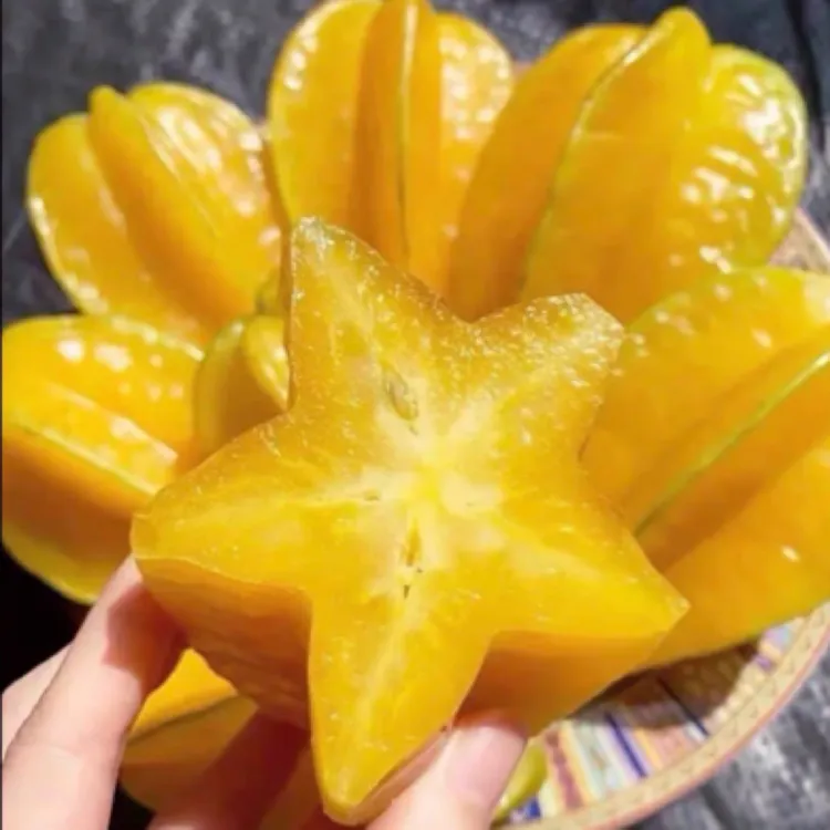 甜杨桃树苗   清甜多汁   一年四季结果   