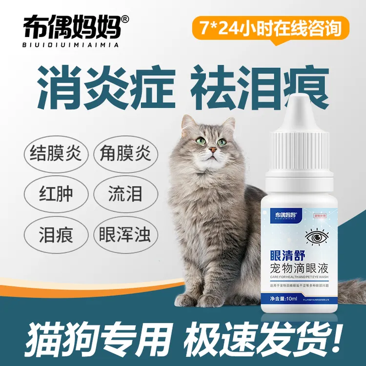 猫咪眼睛流泪有脓性分泌物猫咪流褐色分泌物猫咪流泪猫咪泪痕