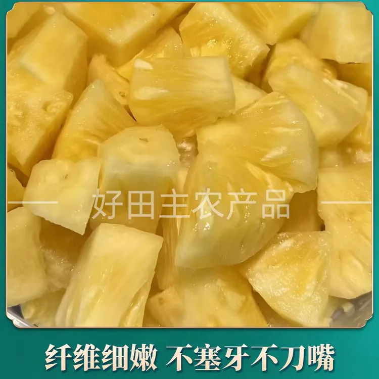 【包邮】广东惠来正宗圆墩菠萝凤梨现摘应季鲜果精选一级果