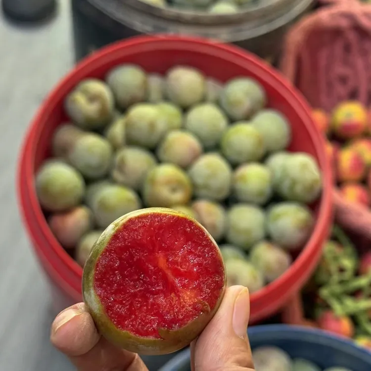 新疆恐龙蛋味帝李子当季新鲜水果整箱现摘现发顺丰空运包邮