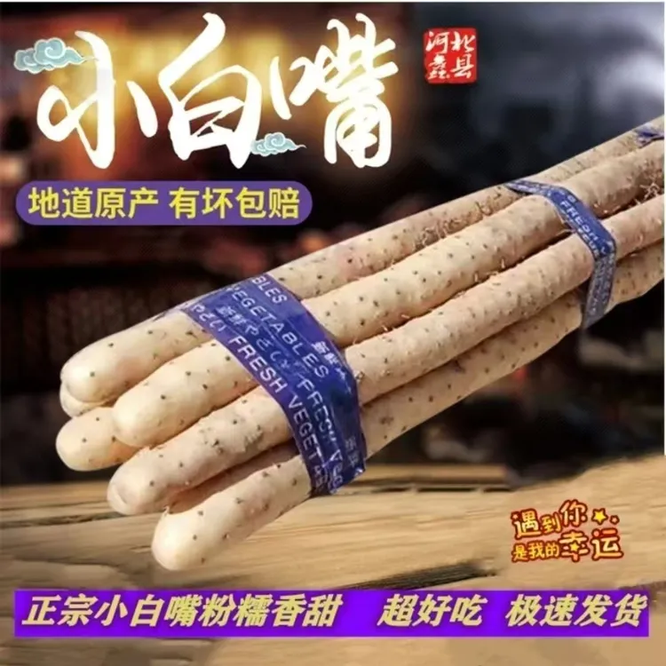 正宗小白嘴山药软糯香甜产地直达新鲜带土宝宝辅食