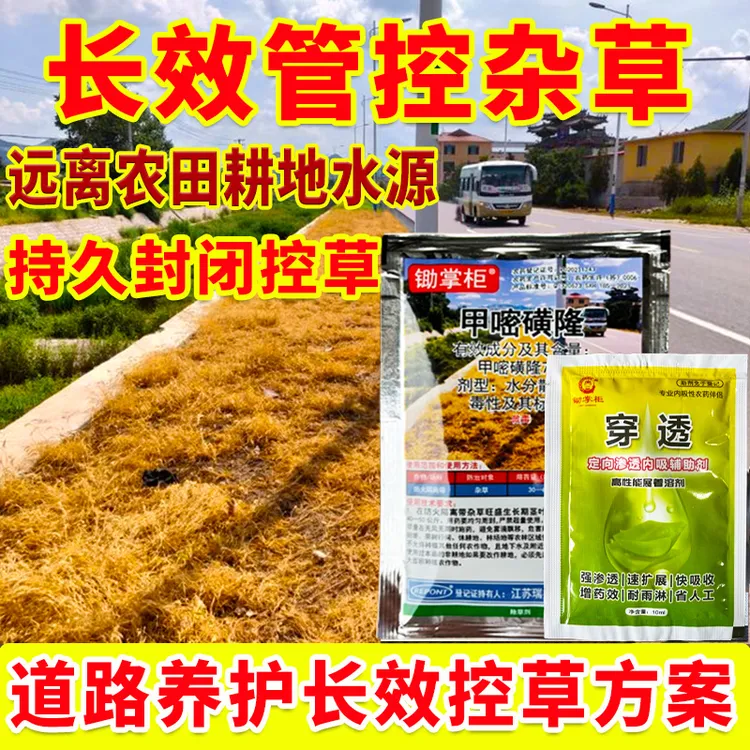 甲嘧磺隆除草烂根剂荒地铁路公路专用药水花生牛筋草非耕地农药