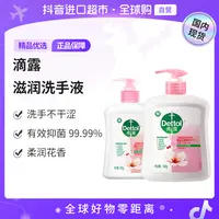 【向佐专属】【国内现货】滴露正品滋润倍护洗手液保湿抑菌清新润肤温和弱酸性