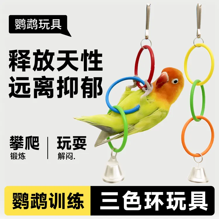鹦鹉解闷玩具三色吊环攀爬玩耍啃咬训练虎皮牡丹玄凤鸟类玩具用品