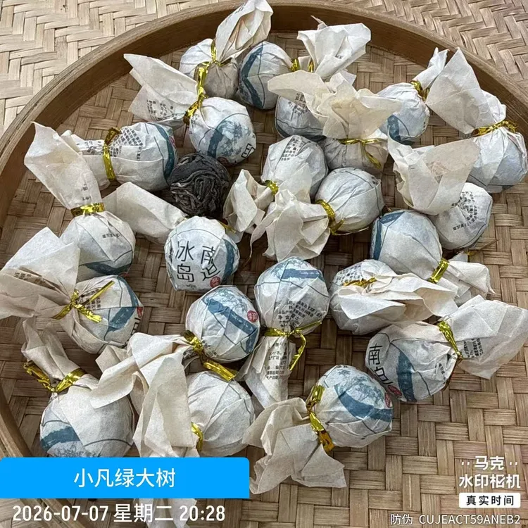 【12号】2026年晒青毛茶春冰岛南迫大树生茶龙珠250克7月7日【562号】