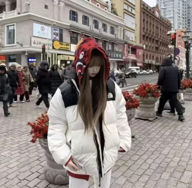 官方正品1996美版700TN1996 羽绒服90鹅绒蓬刺绣男女同款