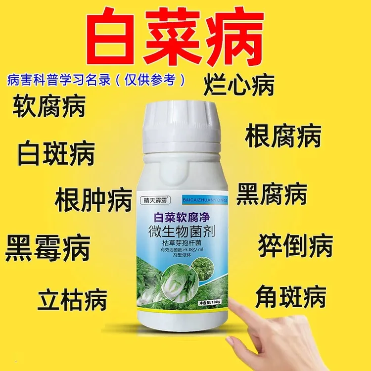 白菜病菌清软腐病枯萎病白菜软腐病大白菜烧心烂叶黑斑病蔬菜通用
