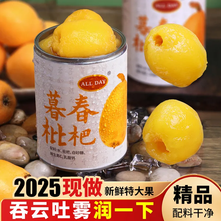 【2025现摘现做】暮春枇杷罐头540g*4罐【无防腐】水果罐头【纯大果】