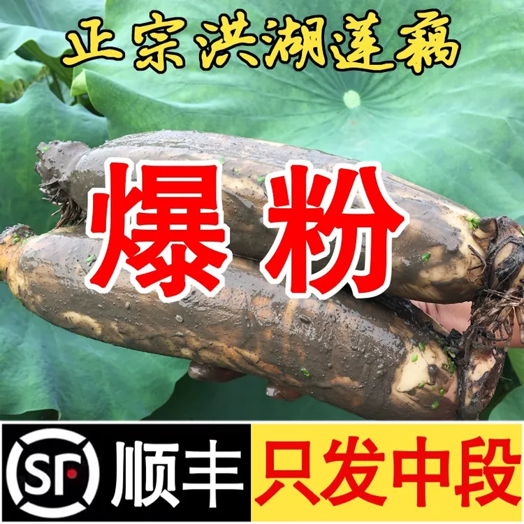 ①洪湖新鲜煲汤粉藕糯米藕桂花藕现挖现发5斤装顺丰包邮不粉包赔