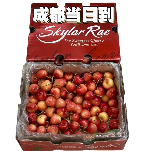 智利2J3J4J空运斯凯拉雷SkylarRae黄金车厘子原装4斤 内附果径卡