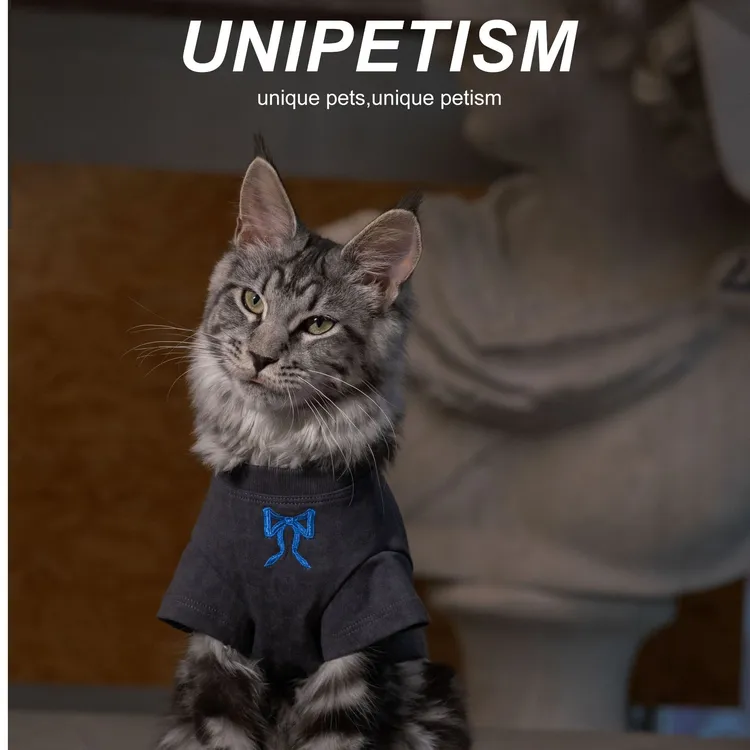 UNIPETISM水洗做旧蝴蝶结绣花T恤