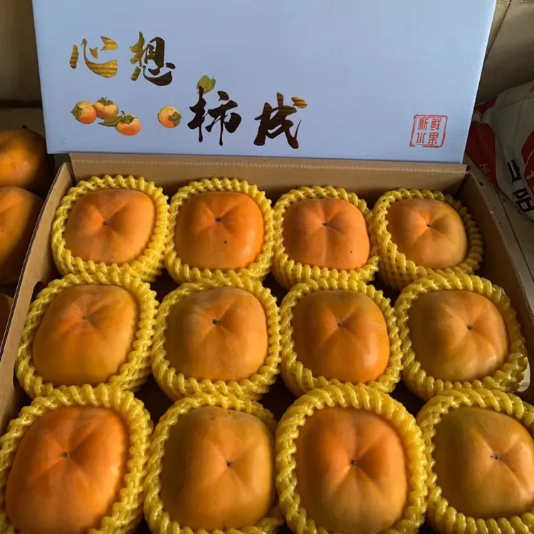 云南新鲜应季次郎甜脆柿无核皮薄多汁精选礼盒装
