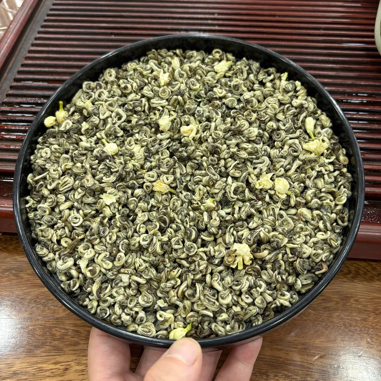 贡品白玉螺2025年新茉莉花茶五窨一提花香浓郁滋味醇厚耐泡