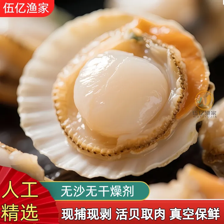 【伍家红鱼妹专属】码头现捕带黄带膏新鲜扇贝肉无沙鲜剥美味海鲜