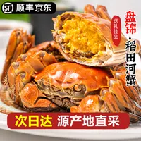 全母蟹【送12只】LL鲜活发货盘锦稻田河蟹0.8-1.3两/只共24只