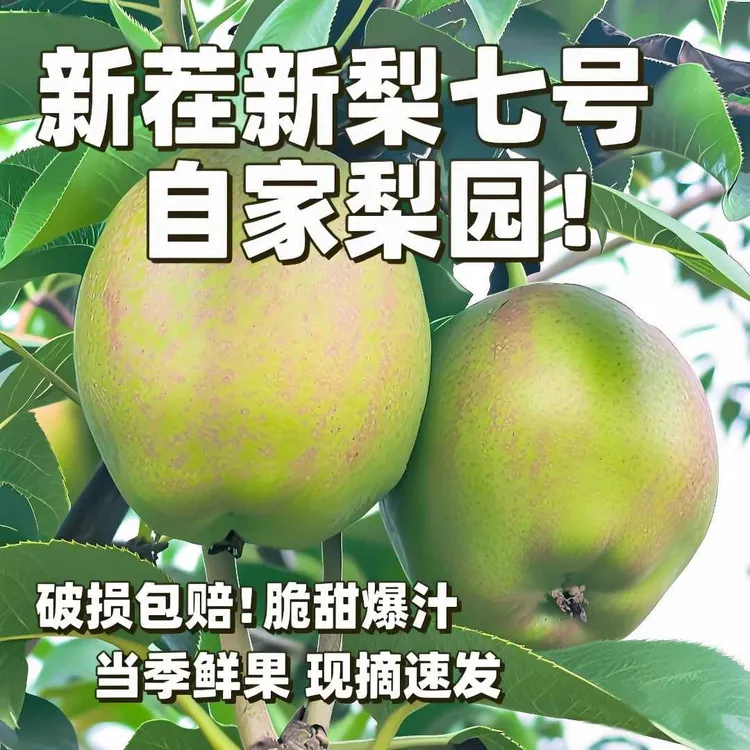 当季新鲜新梨七号酥脆多汁甘甜皮薄绿色梨