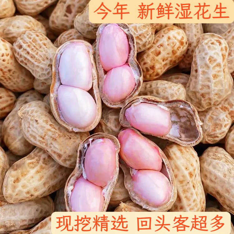 新鲜花生 先挖现卖 湿花生 饱满度95%以上 满满的小时候味道