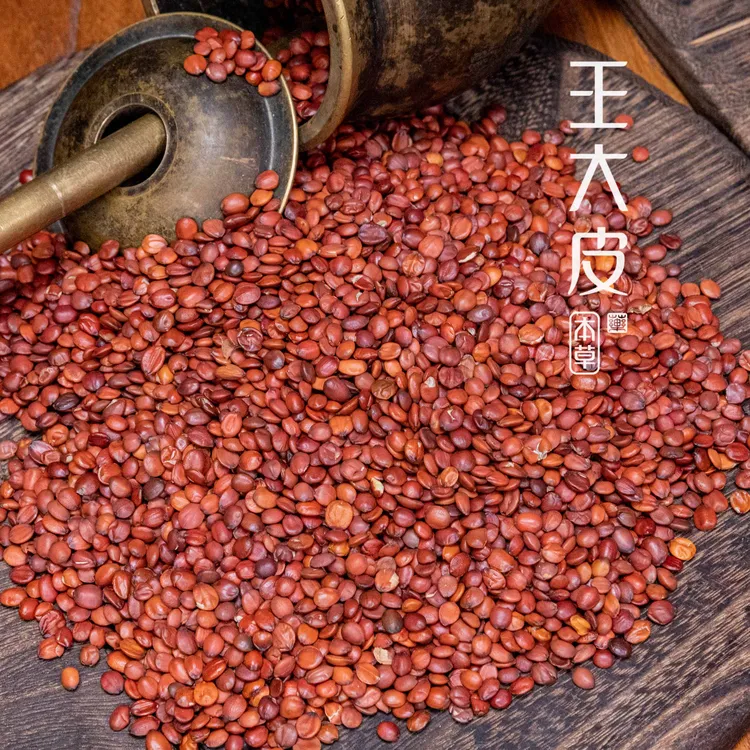 生酸枣仁 道地高品质经方经典优质正宗原产地直邮新鲜