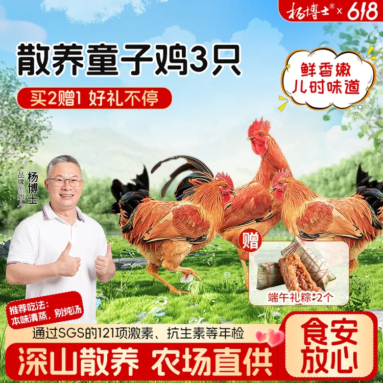 【送端午鲜粽-食安放心童子鸡】杨博士土鸡深山散养仔公鸡新鲜清蒸商品图