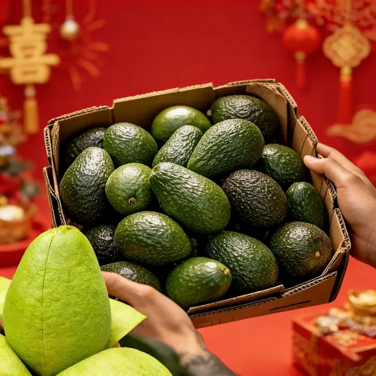 国产哈斯牛油果 颗颗精选口感绵密 淡淡奶香 健身孕妈低脂轻食 