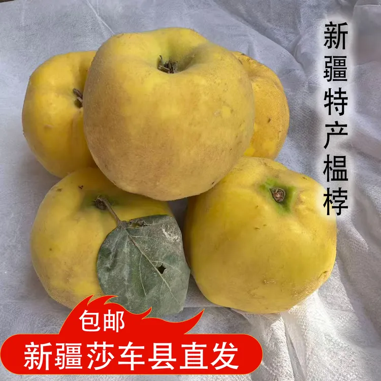 正宗新疆特色榅桲鹅梨帐中香万寿瓜温桲喀什稀有新疆木瓜新鲜水果