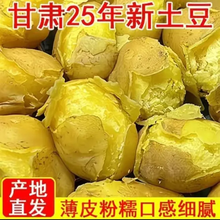 甘肃沙地现挖黄心黄皮土豆粉面软糯当季蔬菜马铃薯