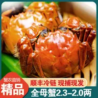 【活蟹】江苏大闸蟹母蟹2.1-2.3两10只顺丰包邮
