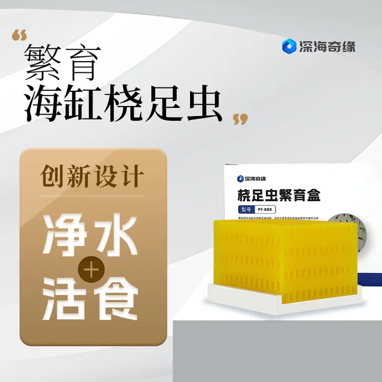 深海奇缘桡足虫繁育盒海缸繁育盒wood活体桡足虫