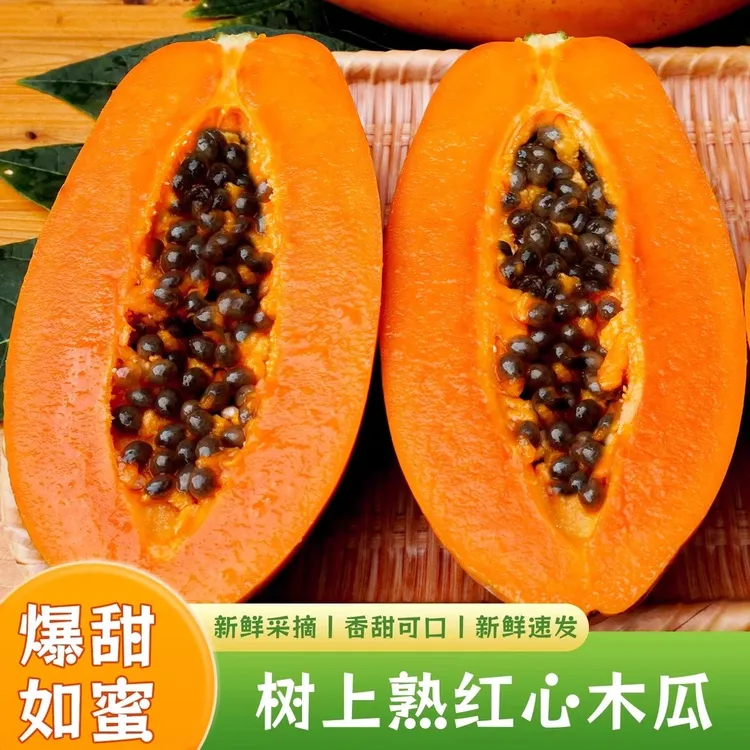 水果红心木瓜牛奶木瓜树上熟口感丝滑清甜香浓新鲜应季包邮