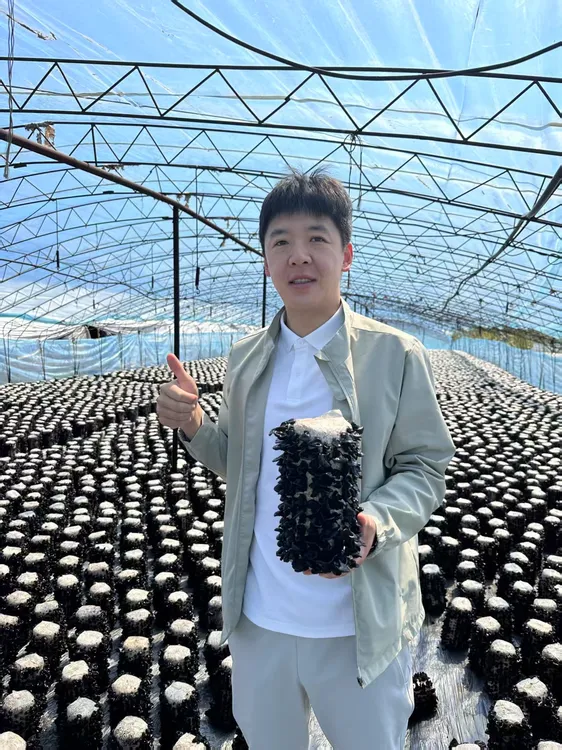 {小斌家2025年春木耳}肉厚干净筋道无增重高泡发干货