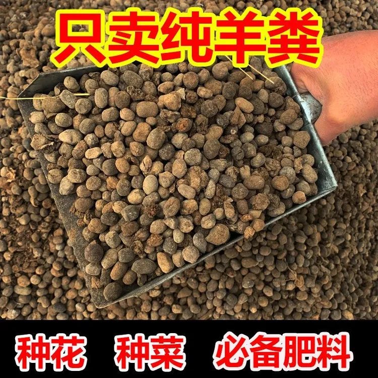 【东莞梅姐】干羊粪蛋蛋腐熟发酵羊粪粉末农家肥花卉蔬菜种植通用