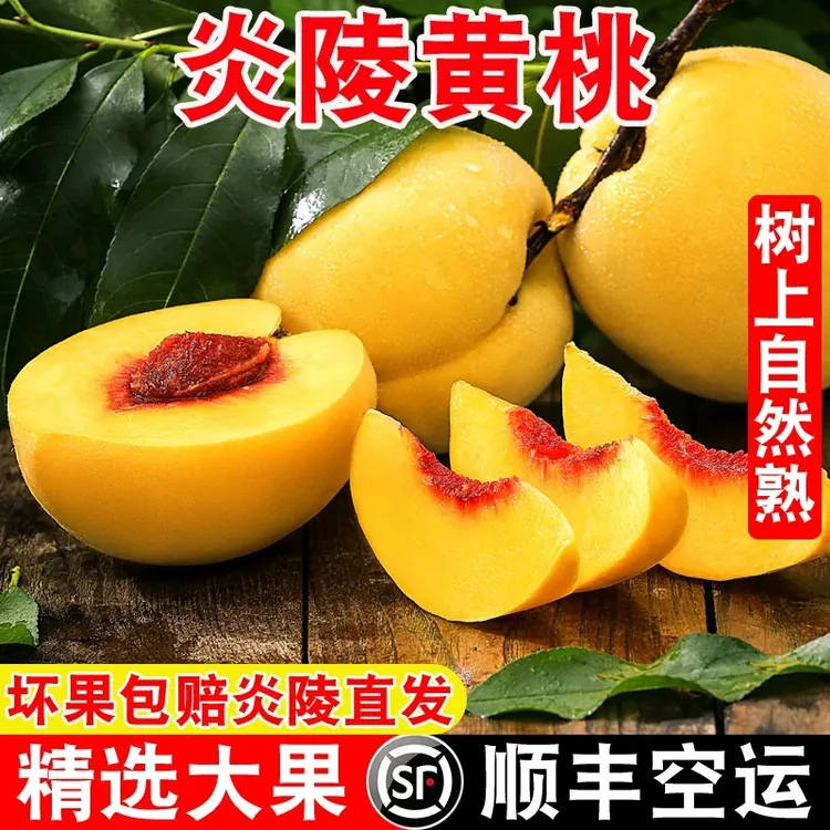 正宗炎陵锦绣黄桃 现摘现发 红心黄桃【顺丰空运】