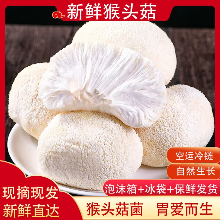 【顺丰包邮】新鲜猴头菇食用菌当季深山蘑菇空运冷链特产鲜嫩猴头菌