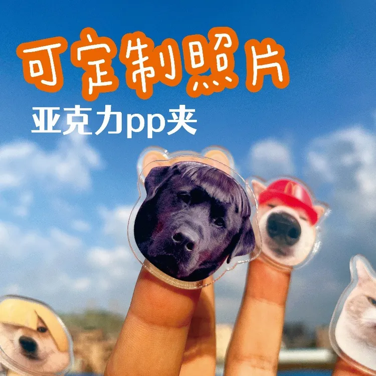 猫咪亚克力PP夹定制宠物周边零食相片夹便签夹子手帐周边定做diy