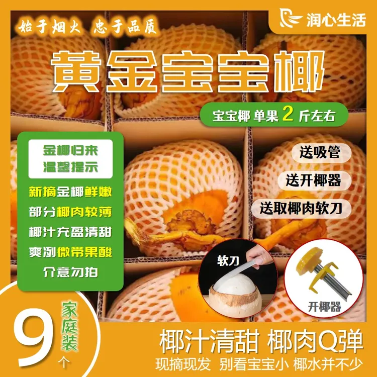 锦润心宝宝椰-海南黄金椰天然电解质水现摘现发带皮原果