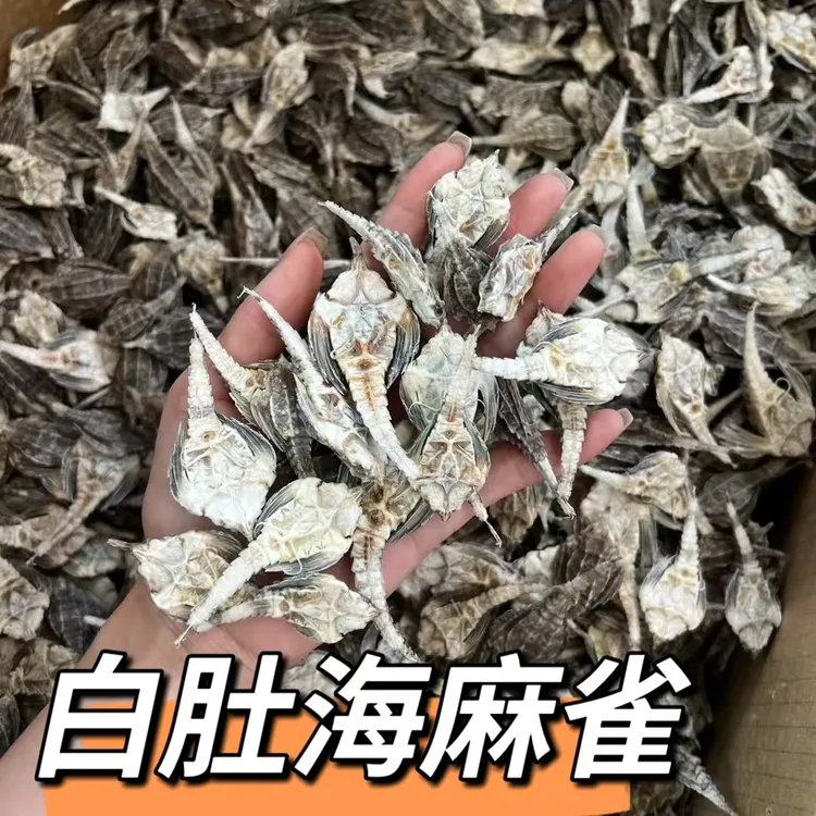 本港新货圆海麻雀白肚新鲜干货50克非海燕子